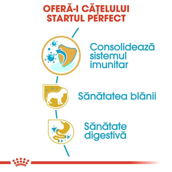 Royal Canin Yorkshire Terrier Puppy – Hrană Uscată pentru Pui de Câine din Rasa Yorkshire Terrier – 1,5 kg